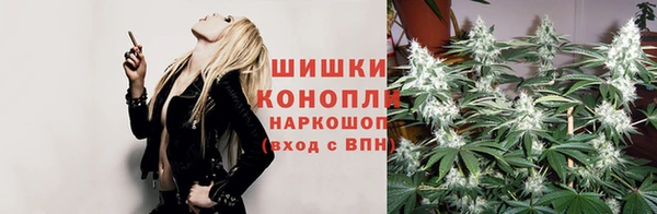 эйфоретик Алзамай