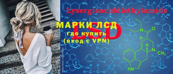 эйфоретик Алзамай