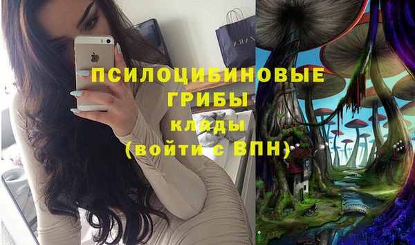 эйфоретик Алзамай